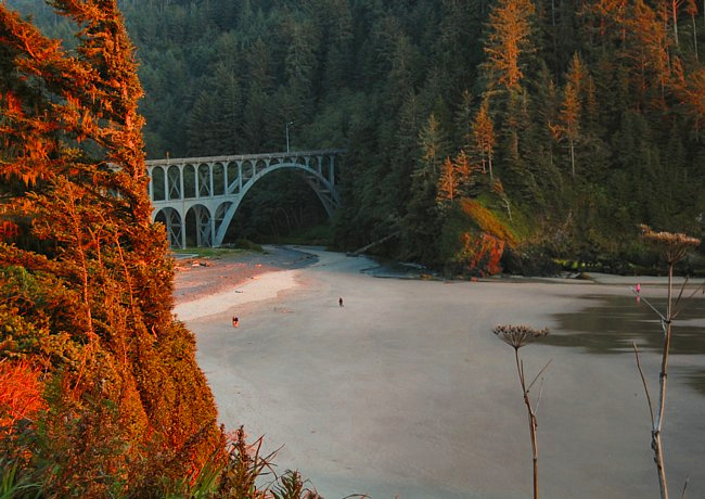 Cape Creek Bridge - Heceta Head Lighthouse State Scenic Viewpoint, Florence, Oregon