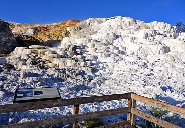 Minerva Terrace - Yellowstone National Park, Wyoming