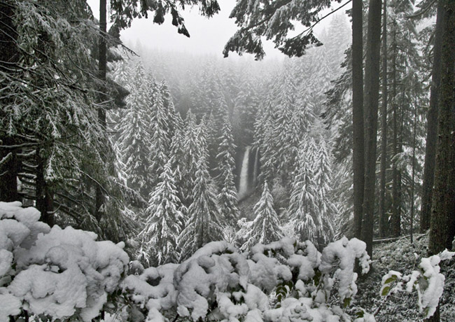 North Falls - Silver Falls State Park, Aumsville, Oregon