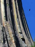 Devils Tower Detail - Columnar Jointing