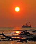 Sun Up - Driftwood Beach, Jekyll Island, Georgia