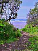 Crescent Beach Overlook - Enderts Beach Road