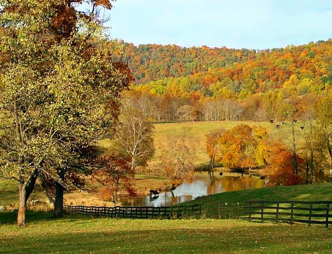 Marriott Ranch - Hume, Virginia