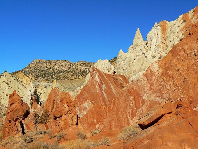 Cottonwood Wash Narrows - Cannonville, Utah