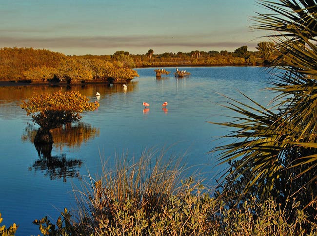 Black Point Drive - Titusville, Florida