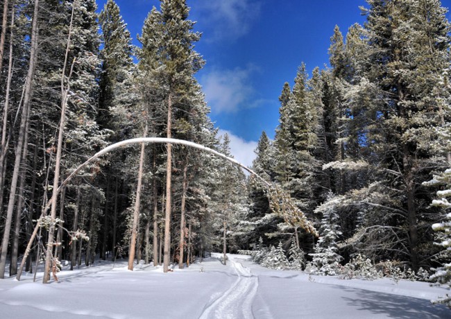 Mount Haggin Preserve - Mount Haggin Wildlife Management Area, Anaconda, Montana