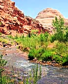 Fremont River and Capitol Dome - Capitol Reel National Park, Utah