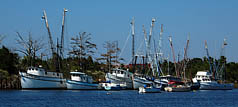 Georgetown - Sampit River Shrimp Boats