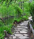 Hamilton Creek Pathway  - Hamilton Pool Preserve, Dripping Springs, Texas