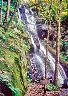 Hen Wallow Falls - Gabes Mountain Trail, Cosby Picnic Area, GSMNP, Tennessee