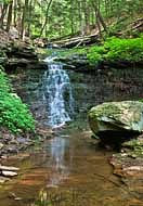 Hickory Run Falls - Worlds End State Park, Pennsylvania