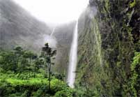 Hi'ilawe Falls- Honokaa, Hawaii