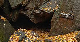 His Majesty's Cave - Purgatory Chasm State Park, Massachusetts