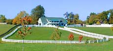 Horse Farm - Lexington, Kentucky