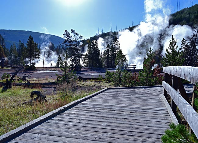 Lower Geyser Basin, Yellowstone National Park, Wyoming