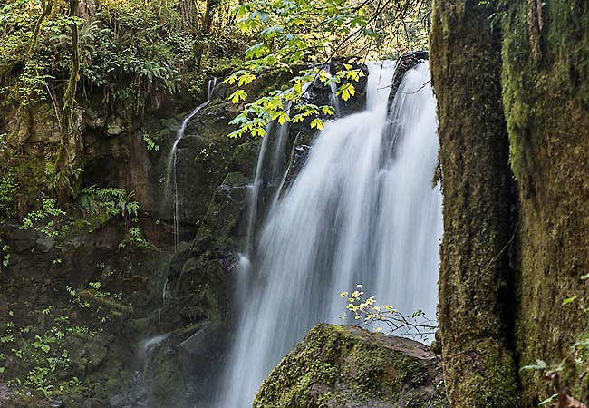 Majestic Falls - McDowell Creek Falls Park, Lebanon, Linn County, Oregon