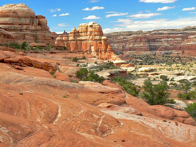 View from the Bump - Maze District, Canyonlands National Park, Utah