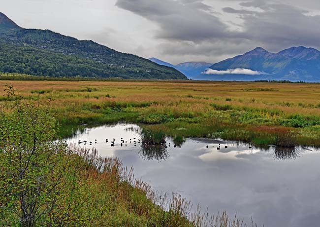 Potter Marsh - Anchorage Coastal Wildlife Refuge, Alaska