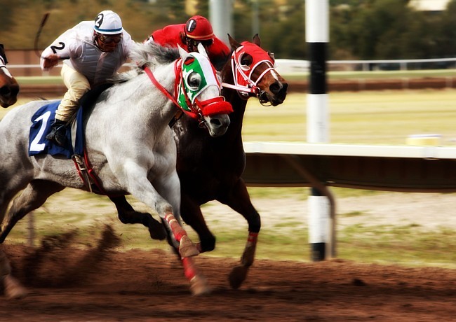 Rillito Race Track Park - Tucson, Arizona