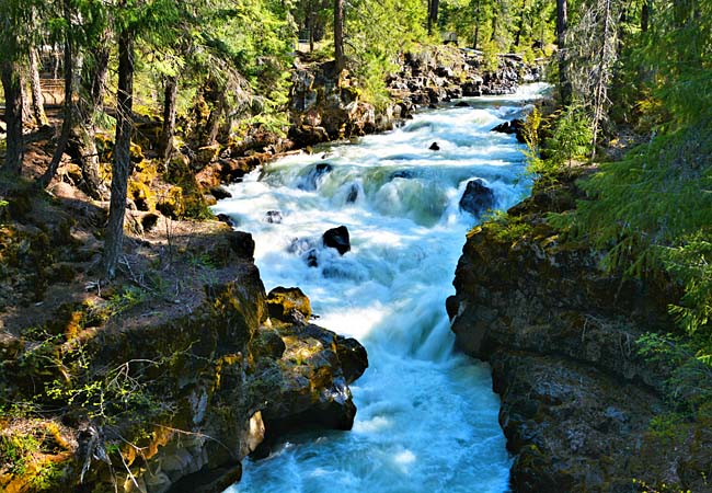 Rogue Gorge - Rogue-Umpqua Scenic Byway, Oregon