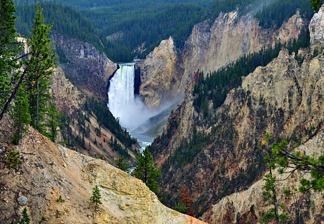 Lower Yellowstone Falls - Yellowstone National Park, WY