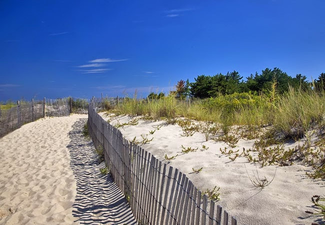 Cape Henlopen State Park - Lewes, Delaware