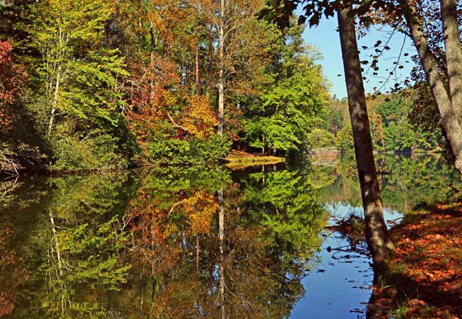 Fairy Stone Lake - Fairy Stone State Park, Stuart, Virginia