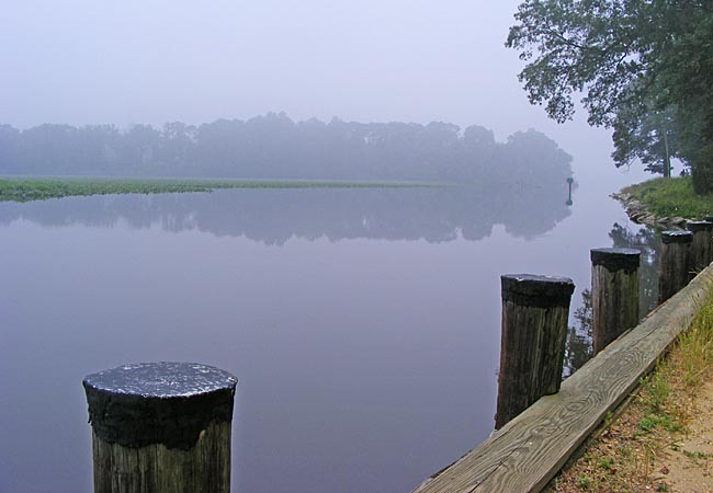 Watts Creek - Martinak State Park, Denton, Maryland