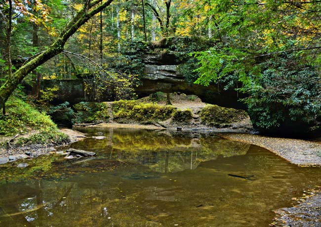 Rock Bridge - Pine Ridge, Kentucky