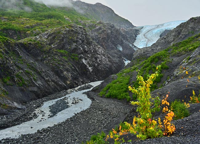 Exit Glacier - Kenai Fjords National Park, Alaska