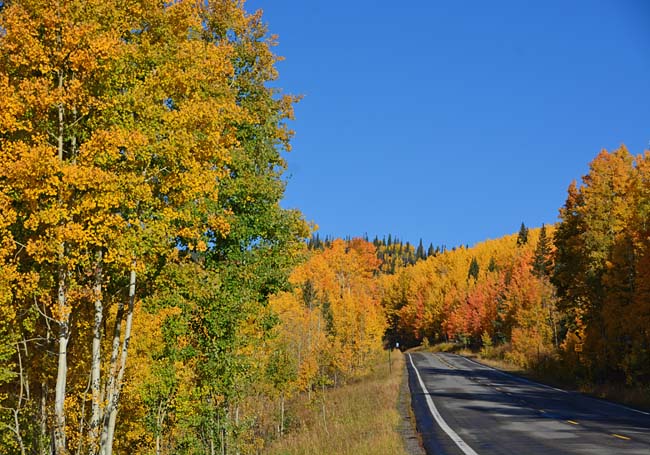 Grand Mesa Scenic and Historic Byway - Mesa-Cedaredge, Colorado