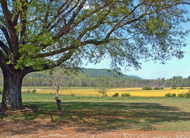 Shinbone Valley - Cherokee County, Alabama