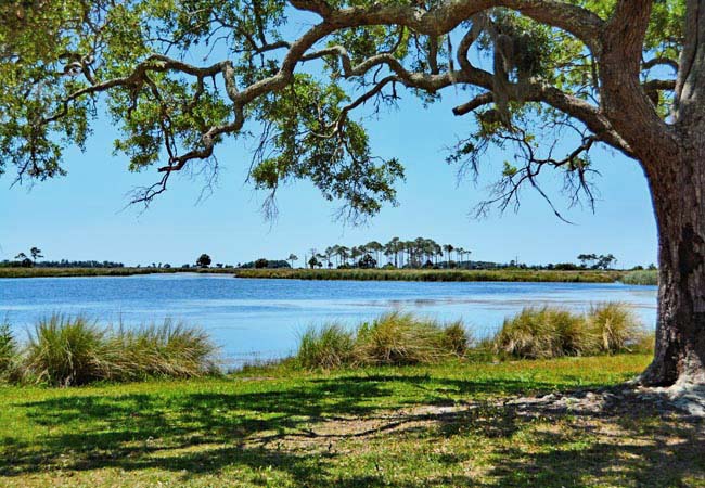 St. Marks National Wildlife Refuge - St Marks, Florida