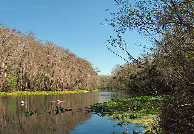 Silver River - Ocala, Florida