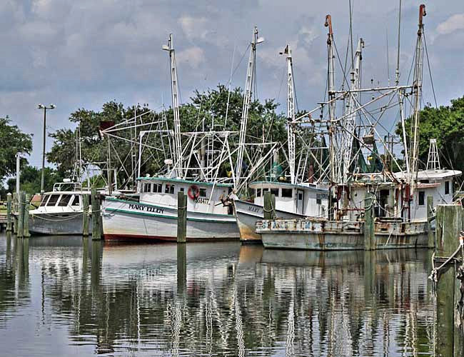 Apalachicola Bay - Big Bend Scenic Byway, Florida