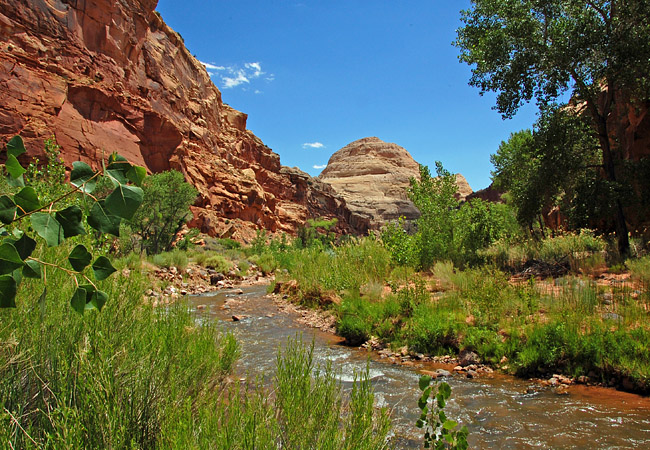 Fremont River - Capitol Reef National Park, Utah