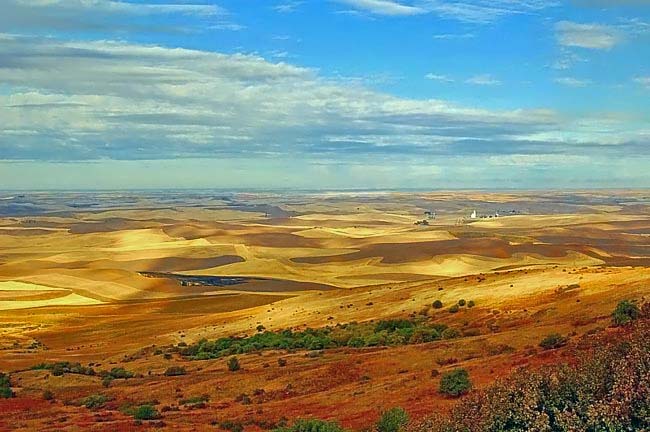 Steptoe Butte View - Steptoe Butte State Park Heritage Site, Colfax, Washington