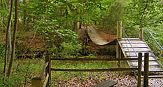 Kenan Mill Swinging Bridge