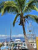 Lahaina Marina - Lahaina Harbor, Maui, Hawaii