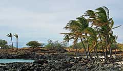 Windswept black lava shoreline - Lapakahi State Historical Park, Hawaii