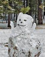 Lower Lee Meadows Snowman - Spring 
Mountains National Recreation Area, NV