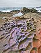 Brain Rock - Point Lobos SNR, Carmel-By-The-Sea, California