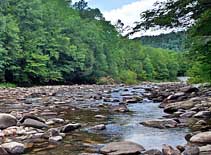 Loyalstock Creek - Forksville, Pennsylvania