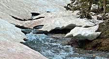 Lunch Creek - Glacier National Park, MT
