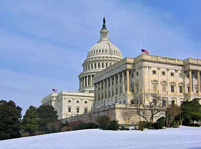 Symbol of Democracy (U.S. Capitol Building) - Washington DC