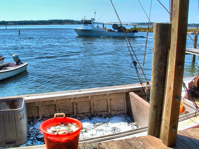 Chesapeake Watermen - Virginia Beach, Virginia