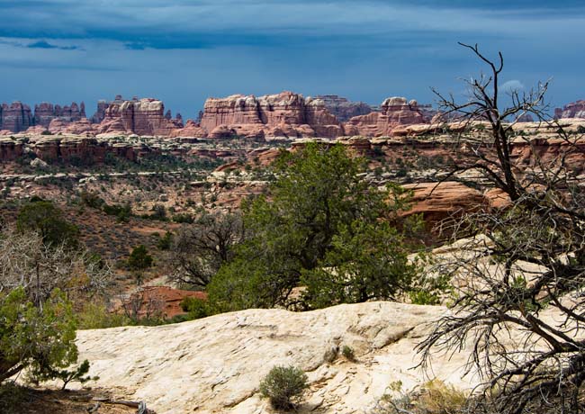 Needles - Canyonlands National Park, Monticello, Utah