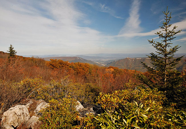 Dolly Sods Scenic Area - Petersburg, West Virginia