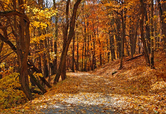 Shenandoah National Park - Front Royal to Rockfish Gap, Virginia