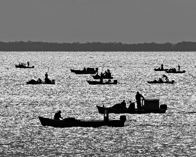 Apalachicola Bay - Big Bend, Panacea, Florida